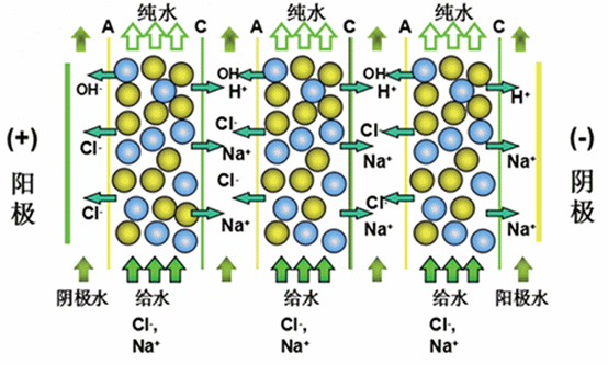EDI模块-芯城品牌采购网